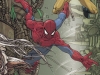 Spider-Man and X-Men