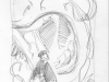 Sketch cover Dylan Dog Color Fest #2